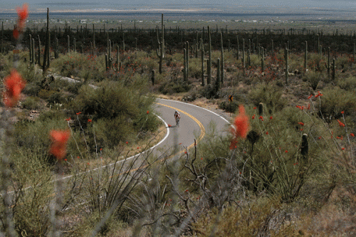 Tucson Cycling Community