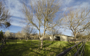 Tucson Horse Property