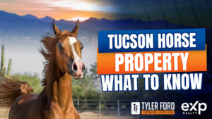What To Know About Tucson Horse Property