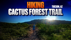 Hiking Cactus Forest Trail in Tucson | Exploring the Saguaro Cactus Wonderland