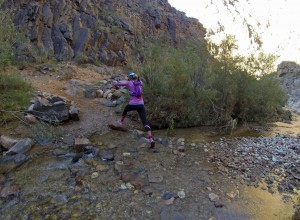 mimi-ford-river-crossing